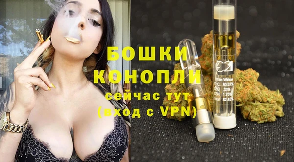 apvp Осинники