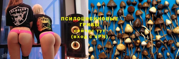 дурь Нягань