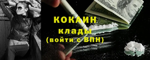 тгк Няндома